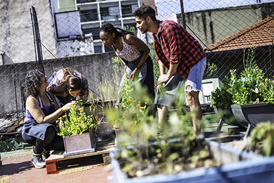 Des habitants se retrouvent pour jardiner en ville