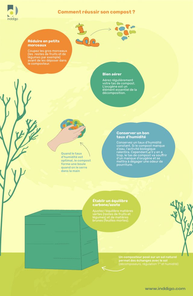 Infographie Conseils pour réussir son compost